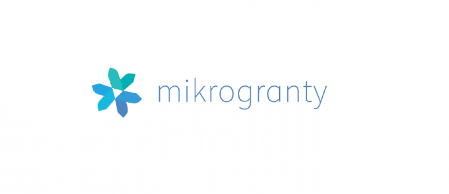 Mikrogranty - wyniki