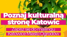 Infografika: 
Poznaj kulturalną stronę Katowic
Zapisz się do mailingu Katowice Miasto Ogrodów