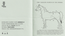 Grafika przypominająca zmięta kartkę papieru, na niej rysunek konia i napis Ars Independent Festival Katowice, Konkurs Czarny Koń Animacji