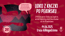 dekoracja 