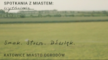 dekoracja 
