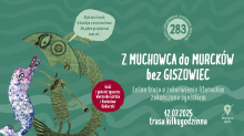 dekoracja
