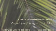 dekoracja