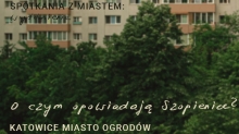 dekoracja