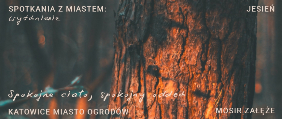 grafika zapowiadająca wydarzenie, na grafice jest drzewo podczas zachodu słońca 