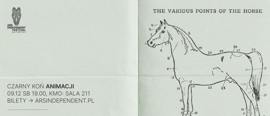 rysunek konia anatomiczny